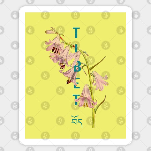 Tibet Vintage Floral Illustration Magnet by Pico Originals